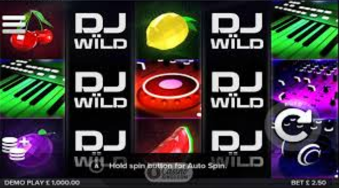 DJ Wild Bonus Symbols Image