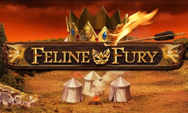 feline fury logo