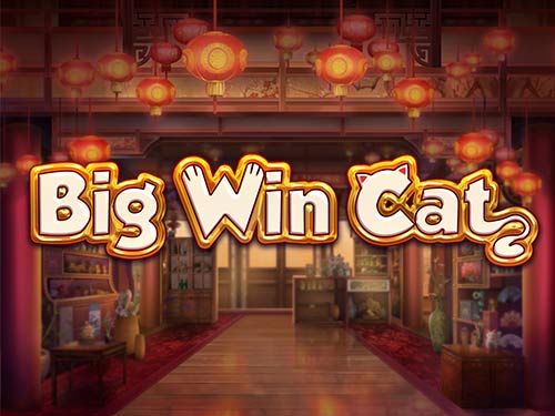 Big Win Cat Slot Logo King Casino