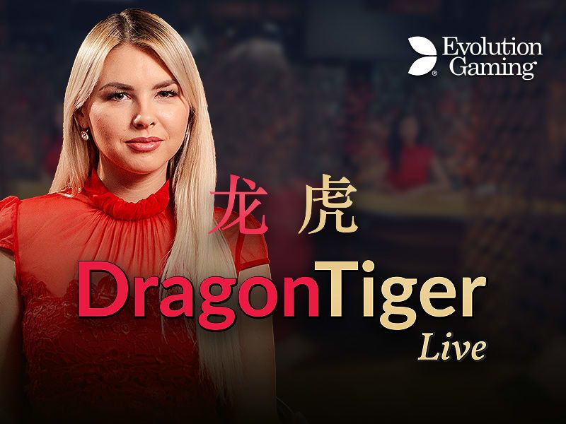 Dragon Tiger Logo King Casino