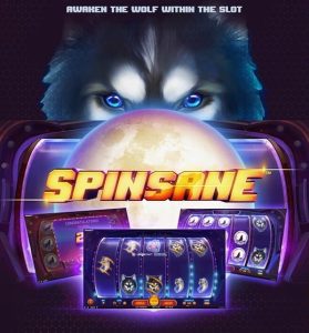 Spinsane