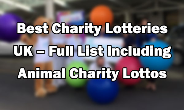 Best Charity Lotteries UK – Full List Including Animal Charity Lottos