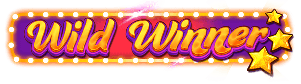 Wild Winner Slot Logo King Casino