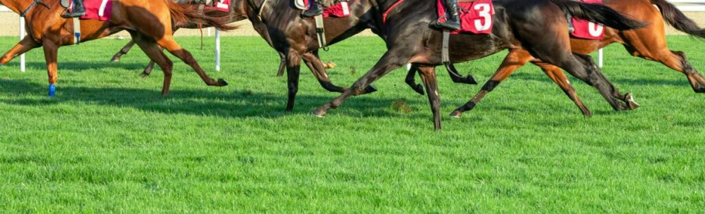 Horse Racing