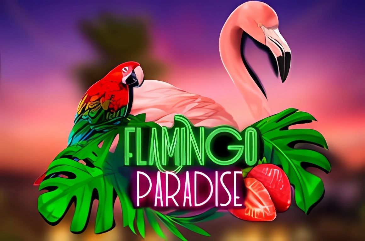 Flamingo Paradise